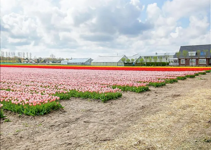 Lovely Bungalow in Noordwijkerhout with Garden