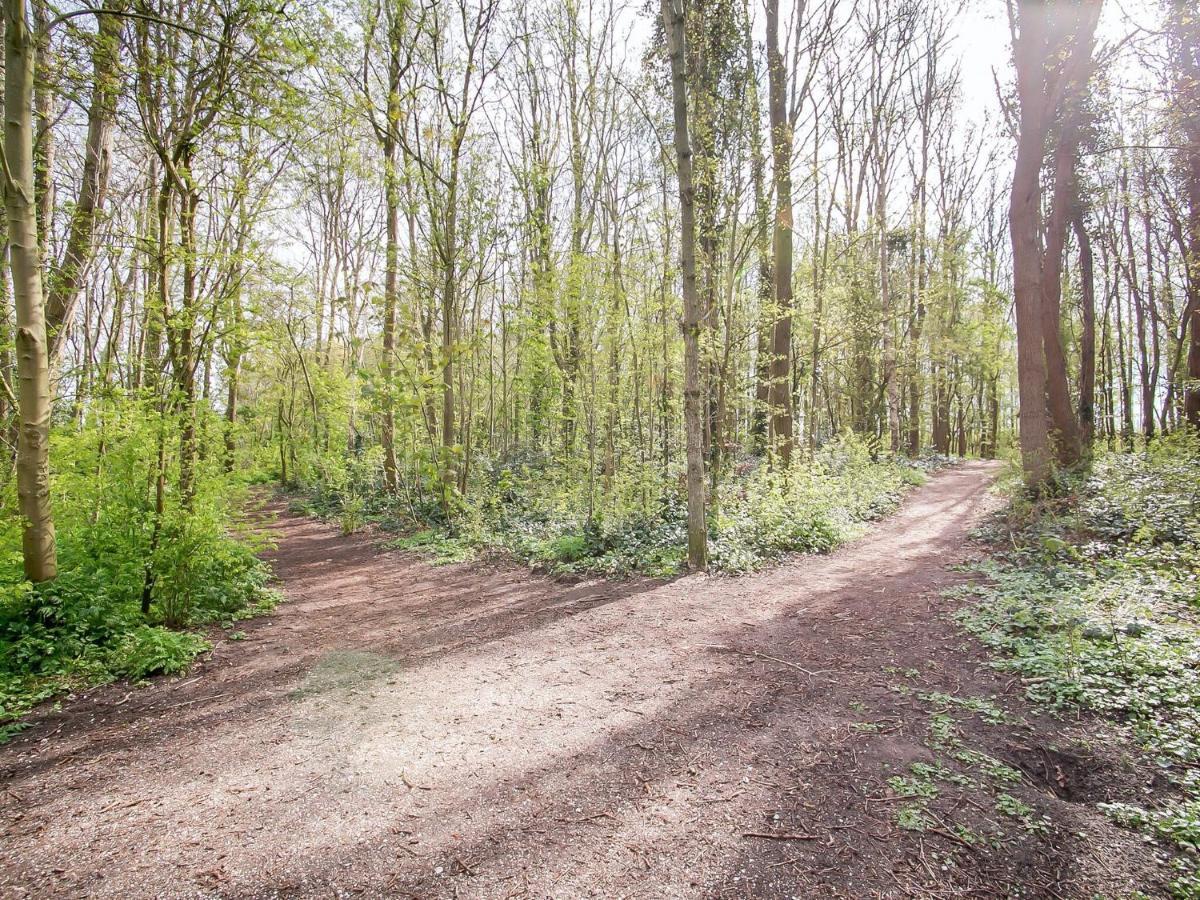 Lovely In With Garden * Noordwijkerhout